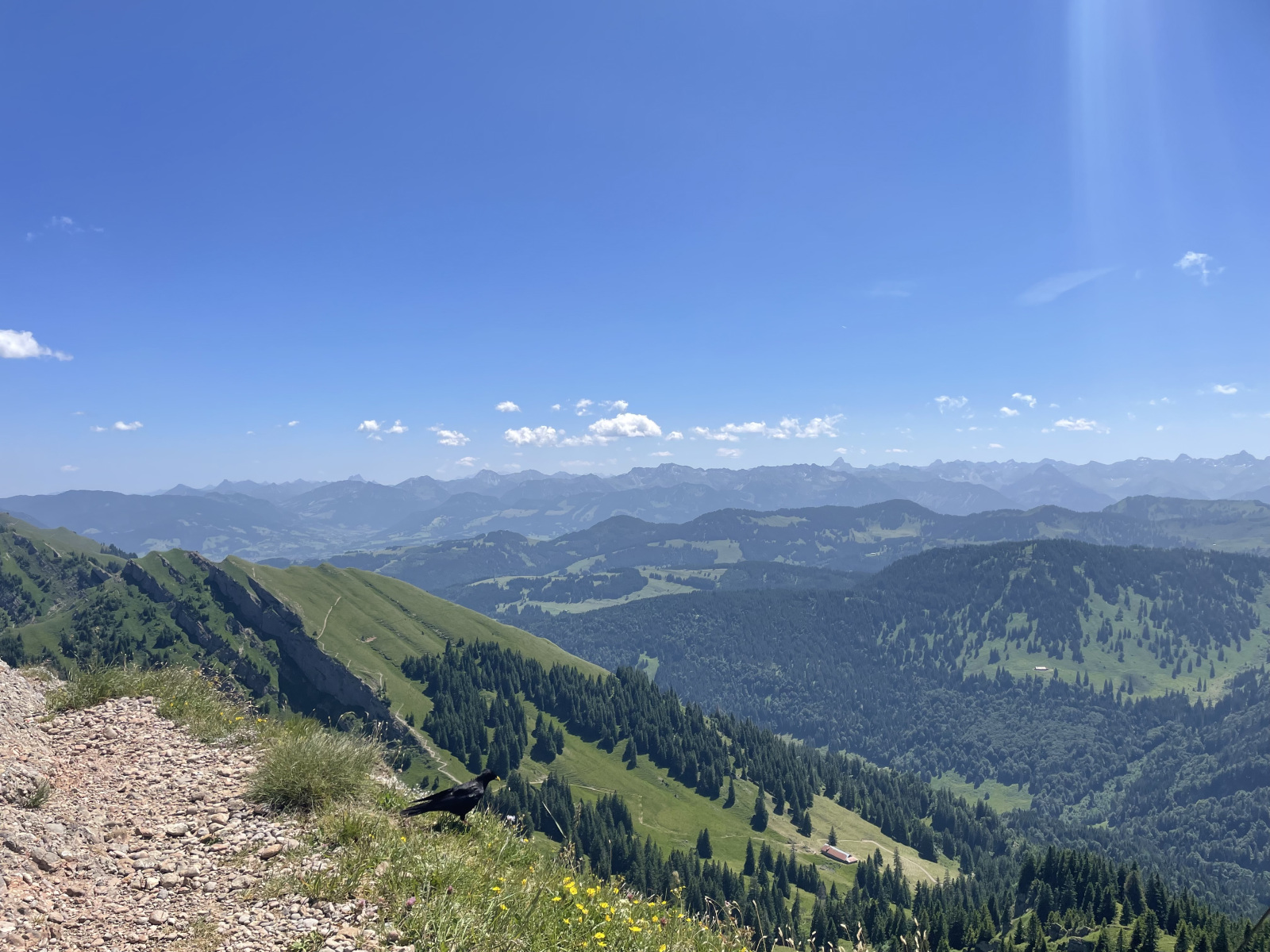 Nagelfluhkette – Rindalphorn